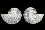Cut & Polished Ammonite (Anapuzosia?) Pair - Madagascar #88002-1